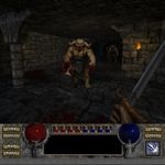 Diablo II (2000) by Blizzard North but first-person view