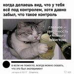постироничный мем на русском языке
