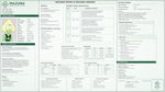 Hospital medical record, peridot (from steven universe). Modern style. Major depressive disorder with suicidal thoughts. Was hospitalized at the Inazuma Mental Health Center and stayed there for 30 days. The most detailed treatment report.